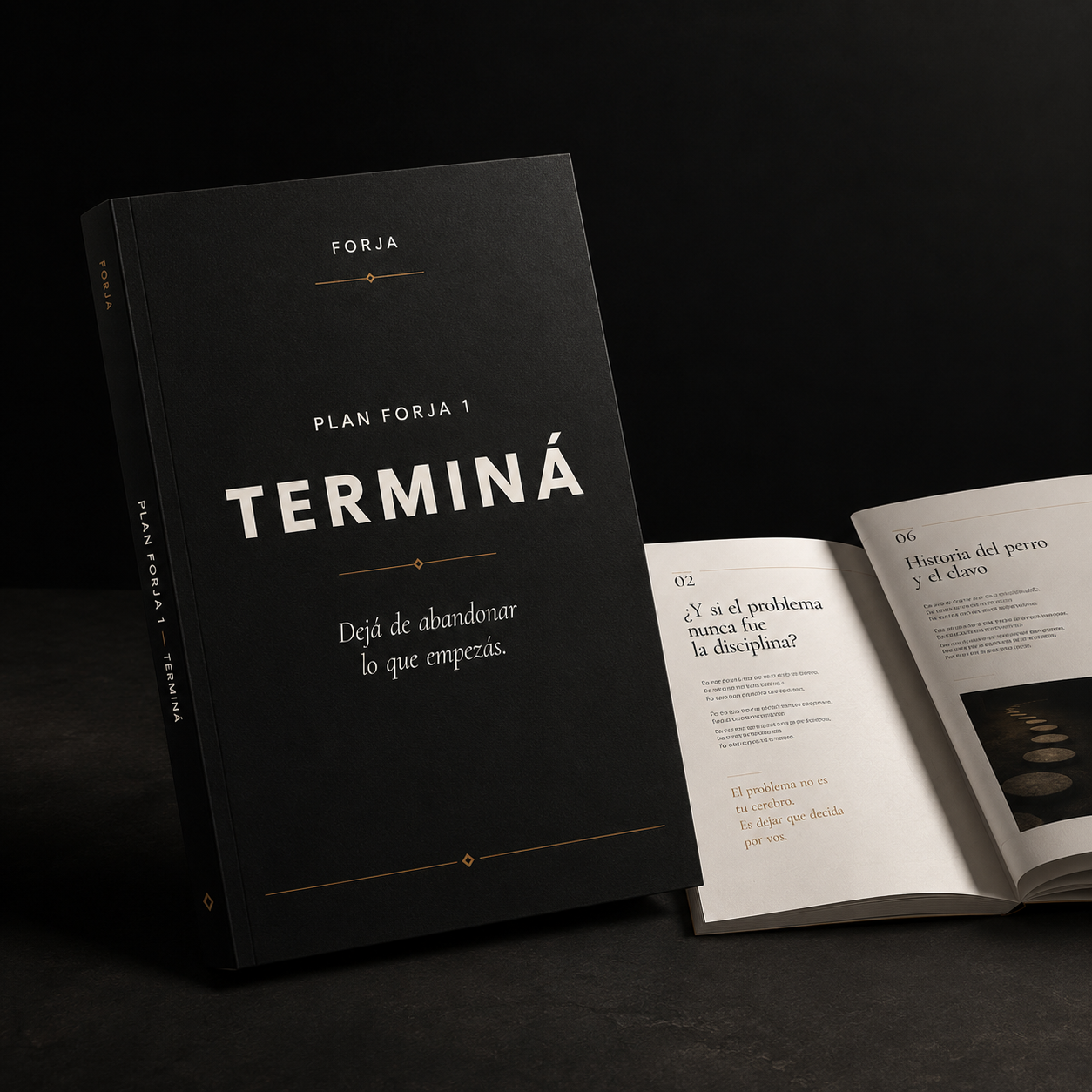 PLAN FORJA 1 — TERMINÁ